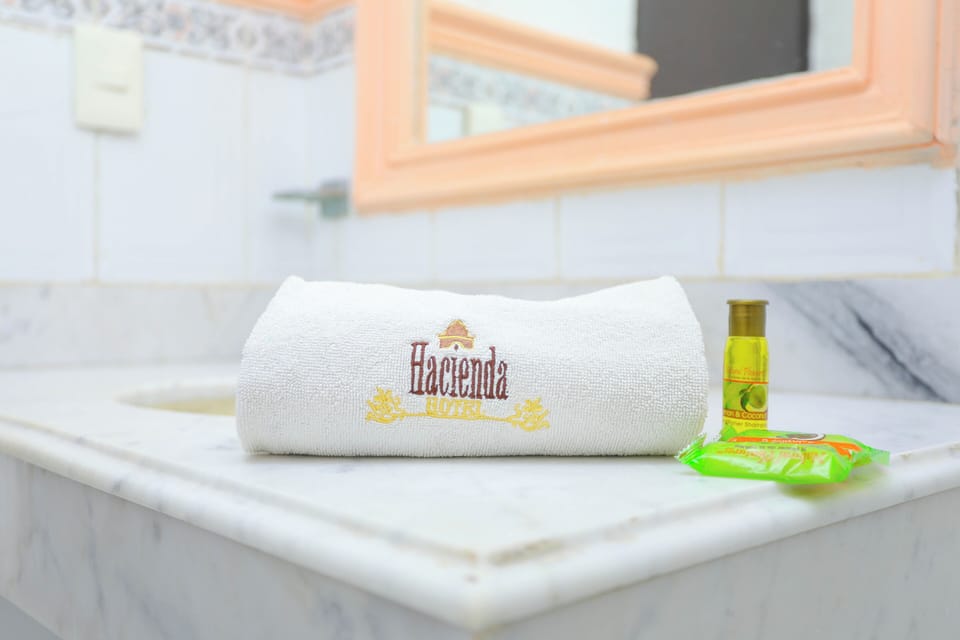 Shower, free toiletries, hair dryer, towels