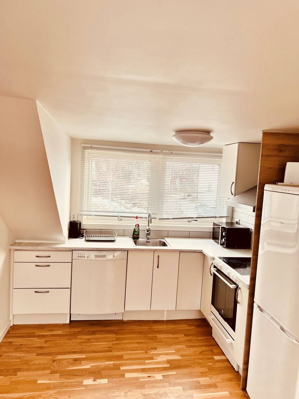 Apartment, 3 Bedrooms | Private kitchen