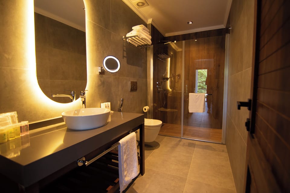 Business Suite | Bathroom | Free toiletries, hair dryer, slippers, bidet
