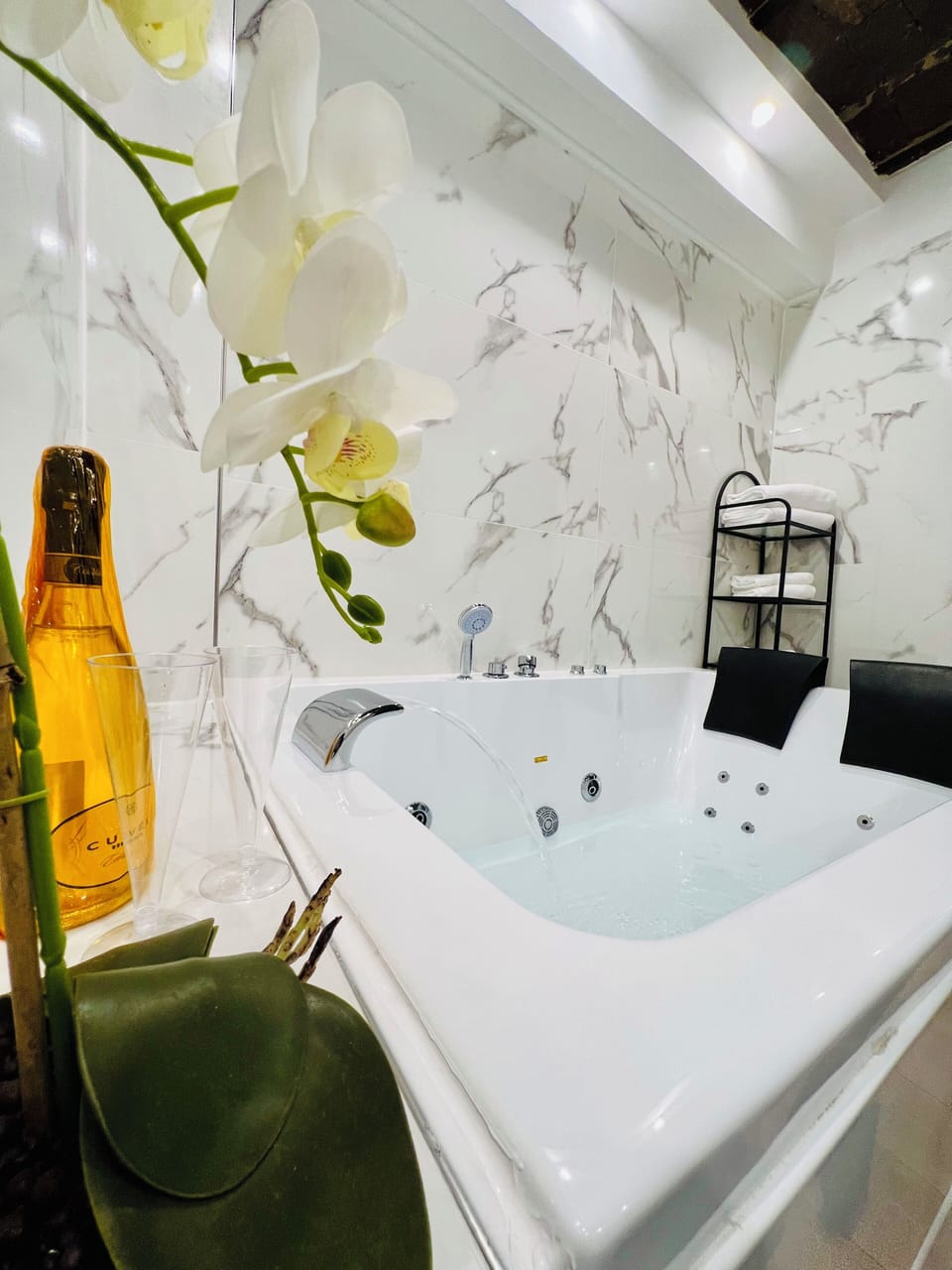 Jetted tub, rainfall showerhead, hair dryer, bidet