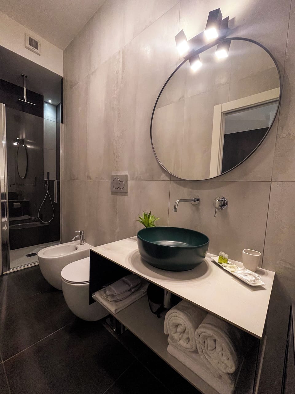 Deluxe Double Room | Bathroom | Shower, rainfall showerhead, free toiletries, hair dryer