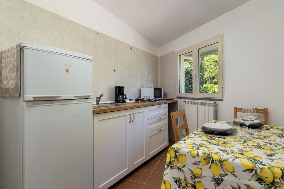 Panoramic House | Private kitchen | Full-size fridge, microwave, stovetop, espresso maker