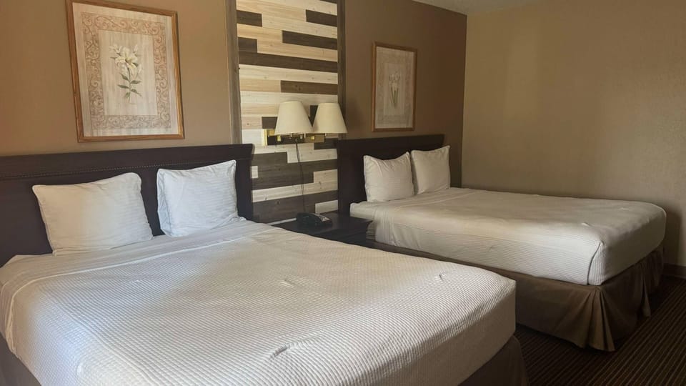 Basic Double Room | Desk, laptop workspace, iron/ironing board, free WiFi