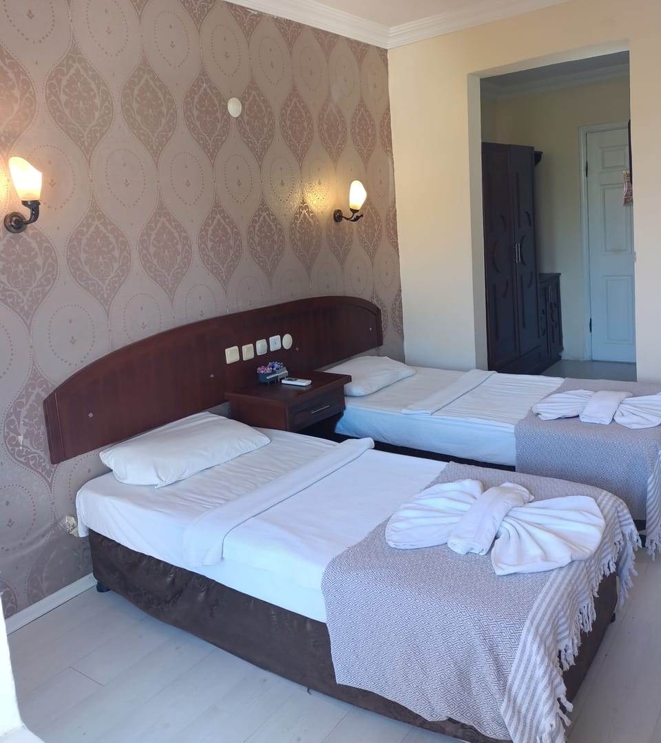 Standard Double or Twin Room, Balcony, Pool View | Desk, laptop workspace, bed sheets