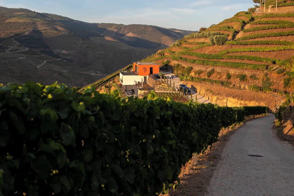 Quinta Vale de Lobos Douro Bed and Breakfast in Vila Real District