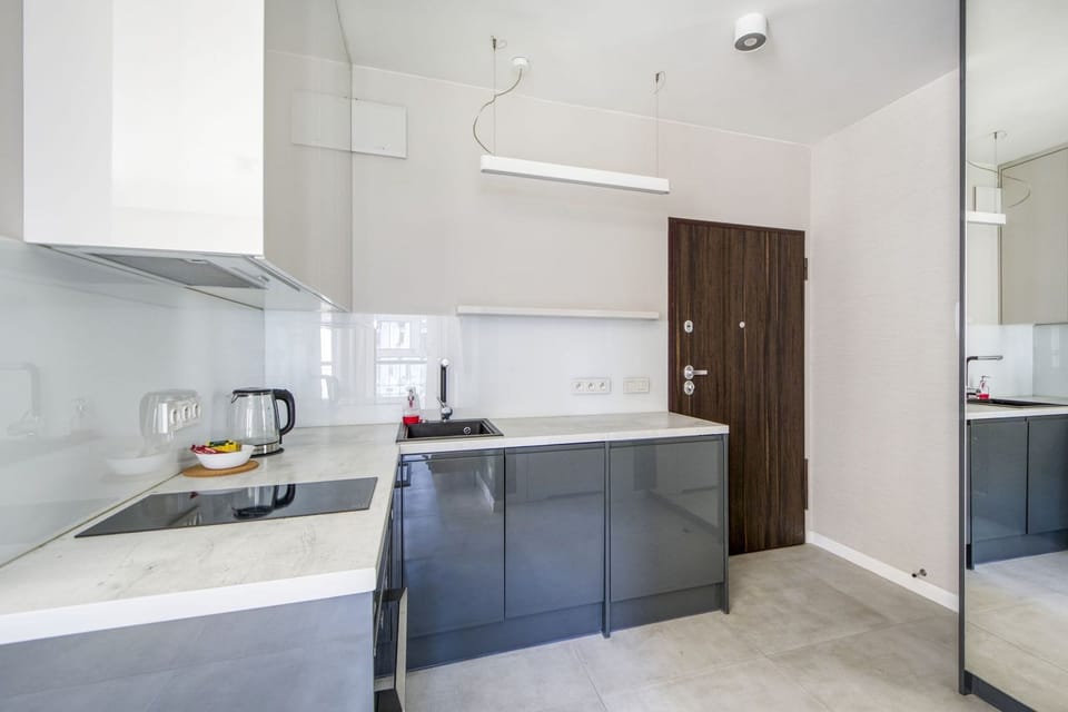 Apartment, Air conditioning, City View | Private kitchen | Stovetop, dishwasher, electric kettle, cookware/dishes/utensils