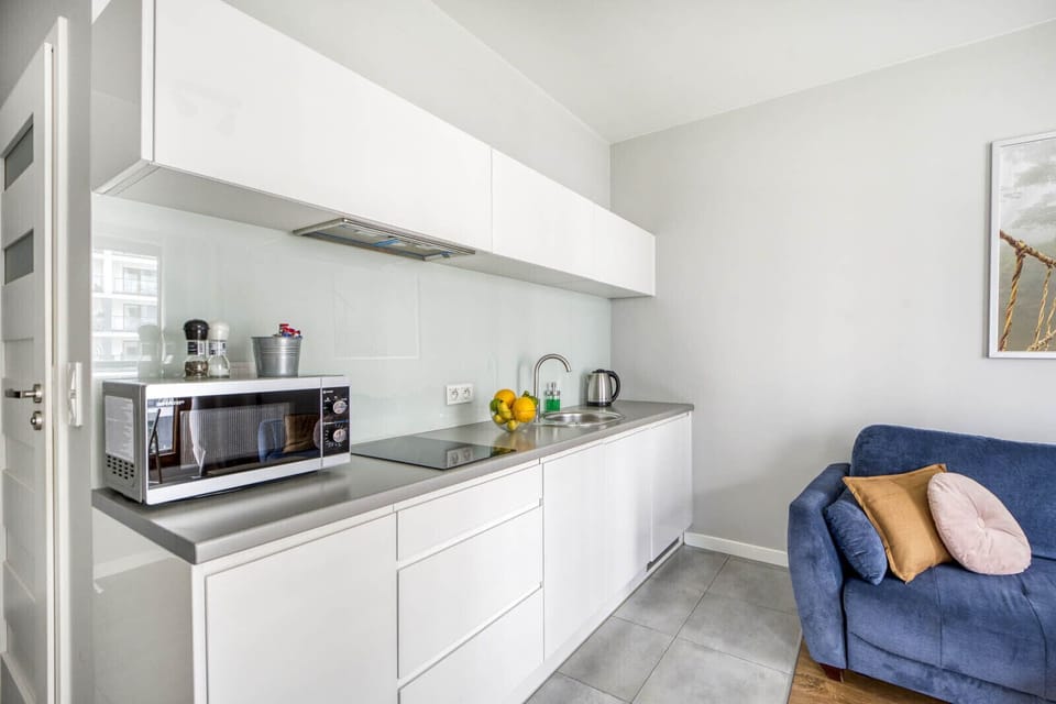 Deluxe Apartment | Private kitchenette | Stovetop, dishwasher, electric kettle, cookware/dishes/utensils