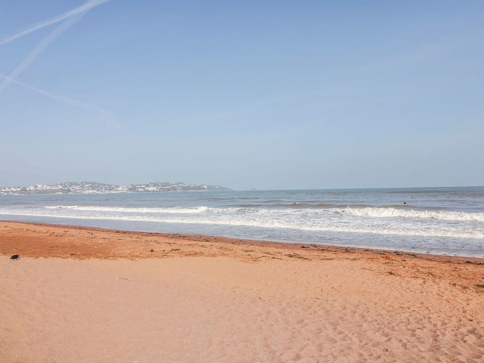 Ocean Retreat Cottage in Paignton