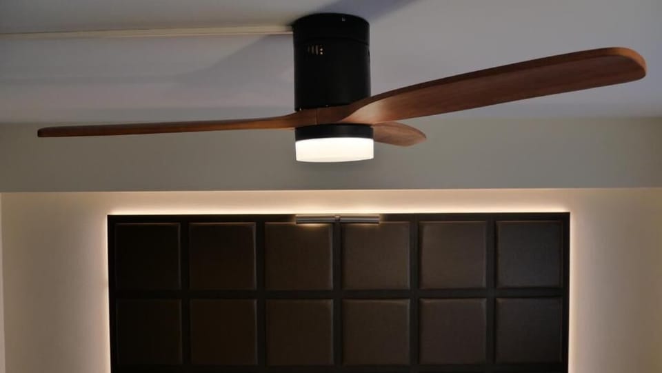 Fan