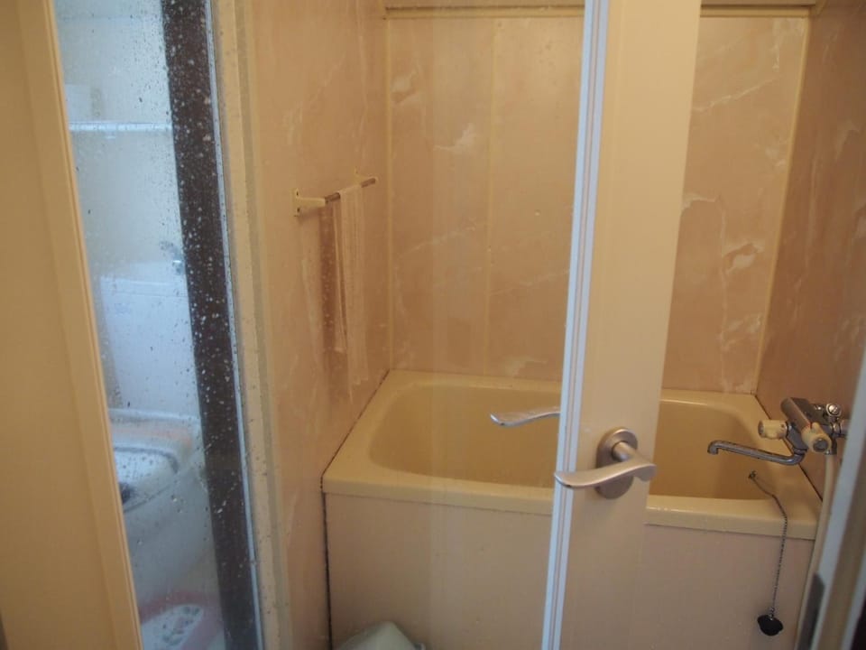 Separate tub and shower, hair dryer, towels