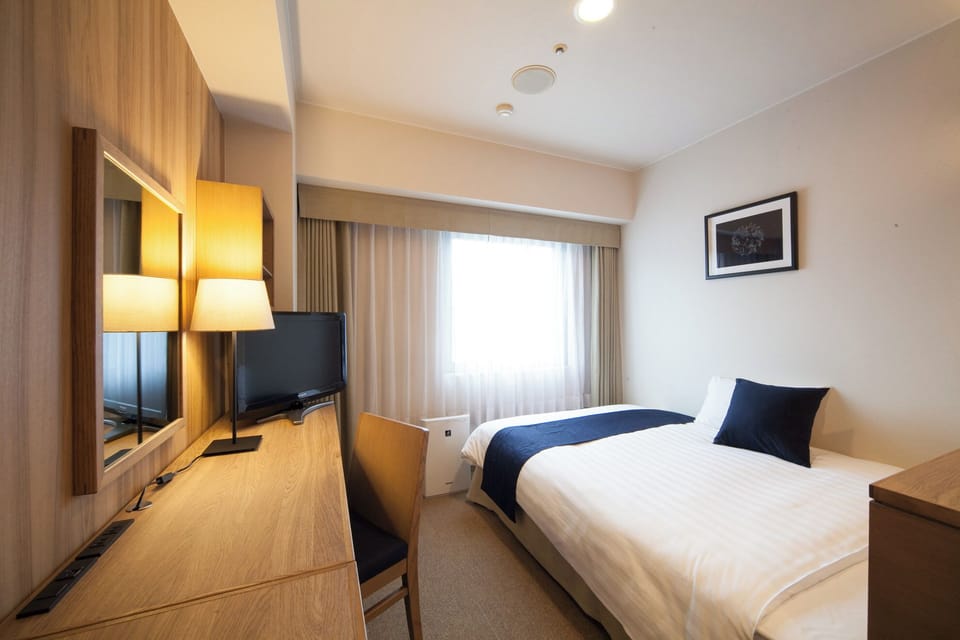 Single Room, Non Smoking | WiFi (free)