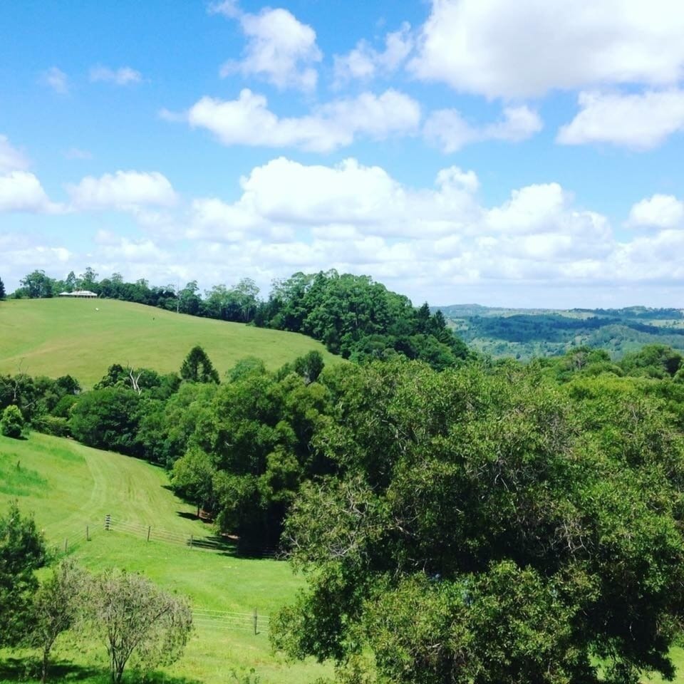 Mountain view