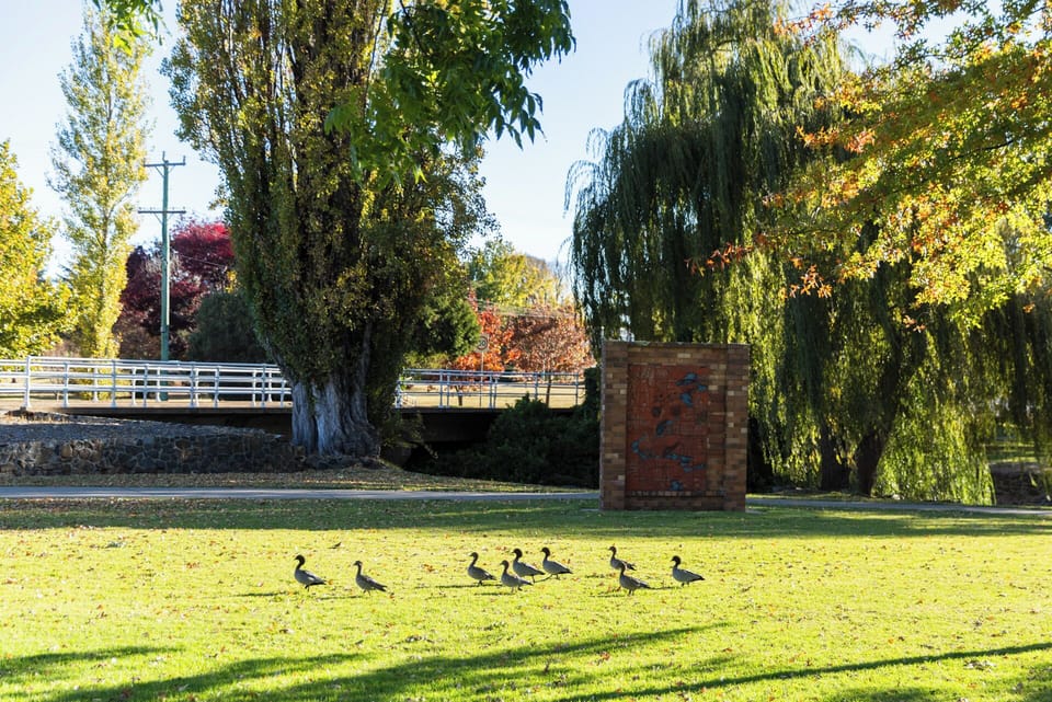 Park view