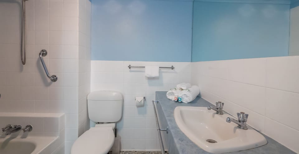 Combined shower/tub, free toiletries, hair dryer, towels