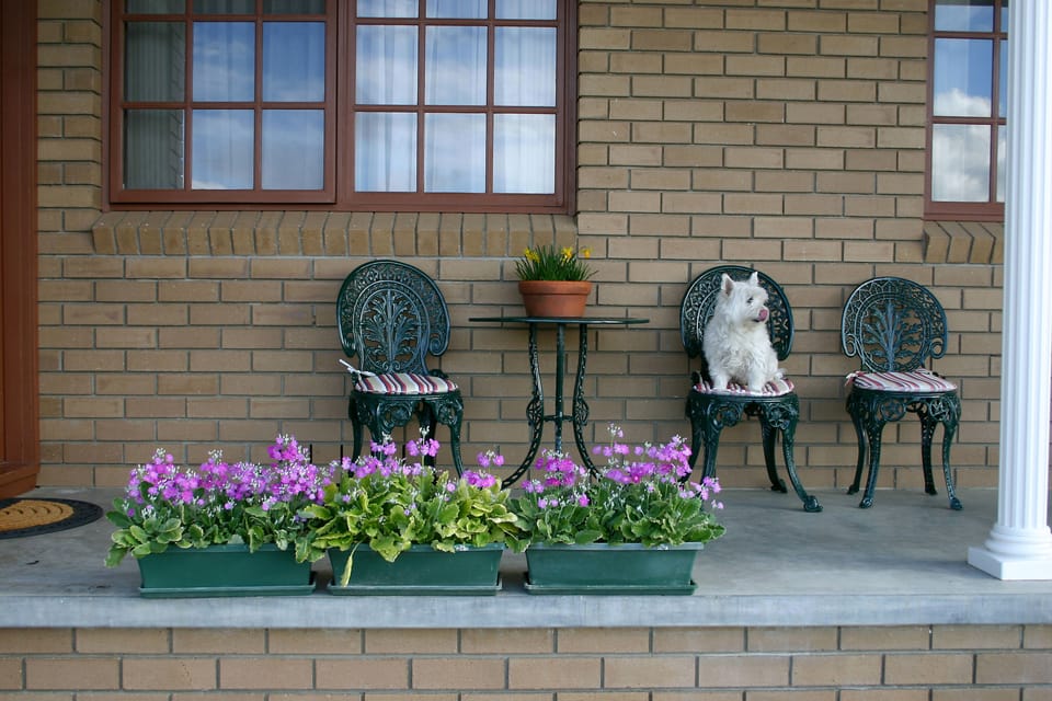 Terrace/patio