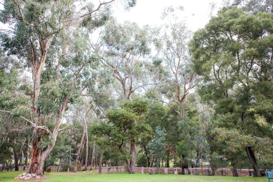 BBQ/picnic area