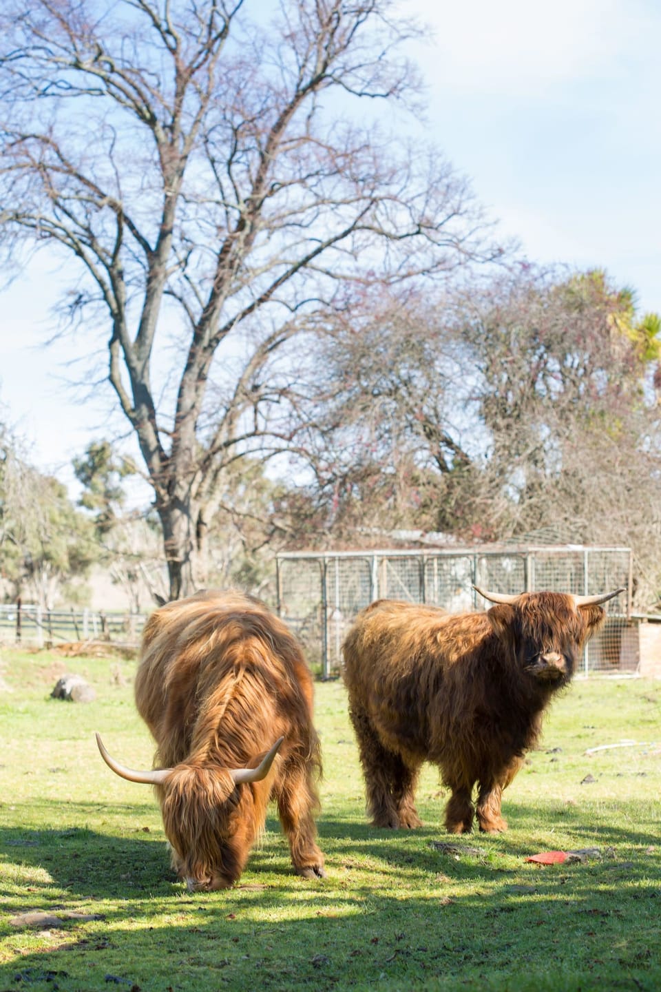 Children's activities