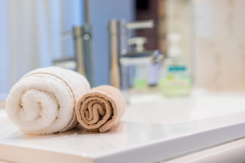 Shower, free toiletries, hair dryer, towels
