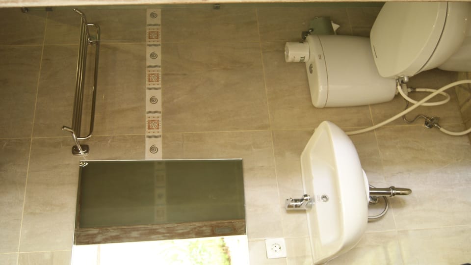 Shower, free toiletries, hair dryer, bidet