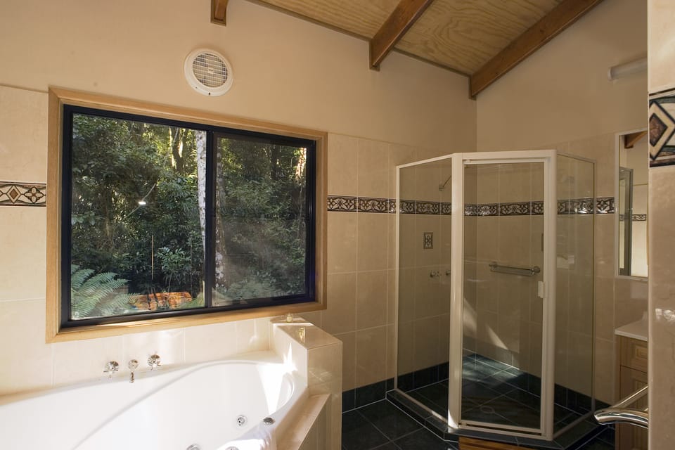 Springbrook Lyrebird Retreat Cottage in Springbrook