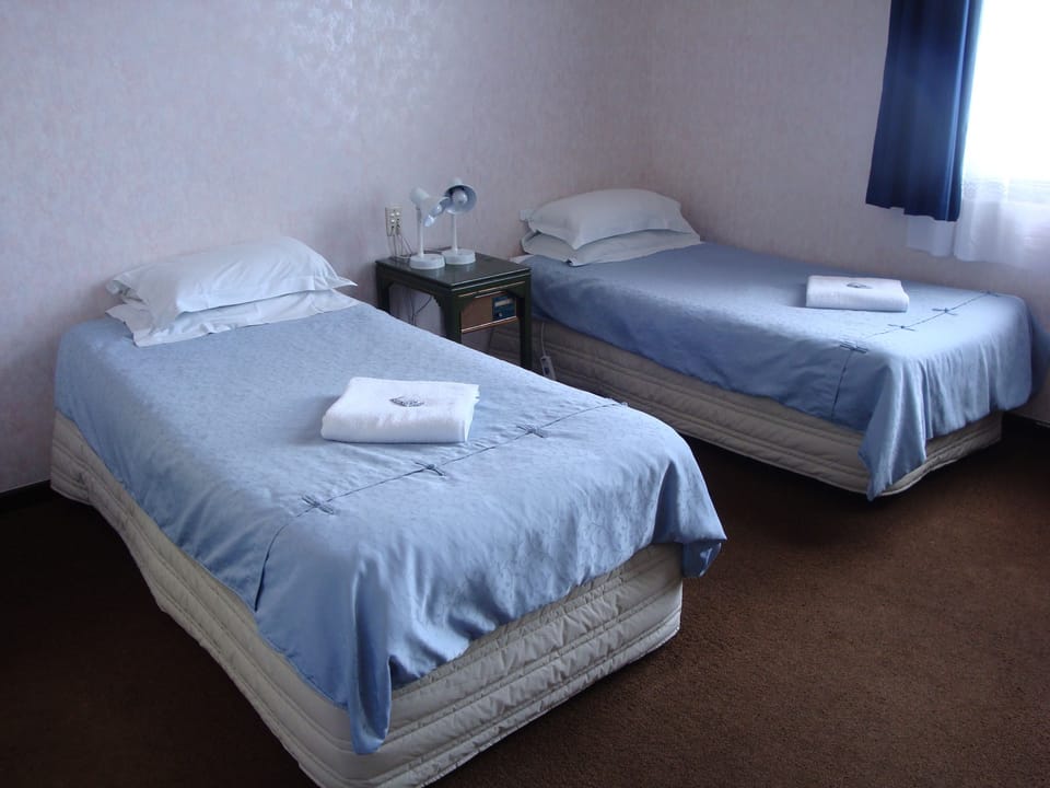 Twin Room, Non Smoking | Individually decorated, individually furnished, iron/ironing board