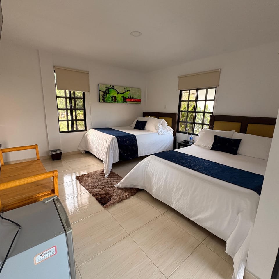 Down comforters, WiFi (free), bed sheets