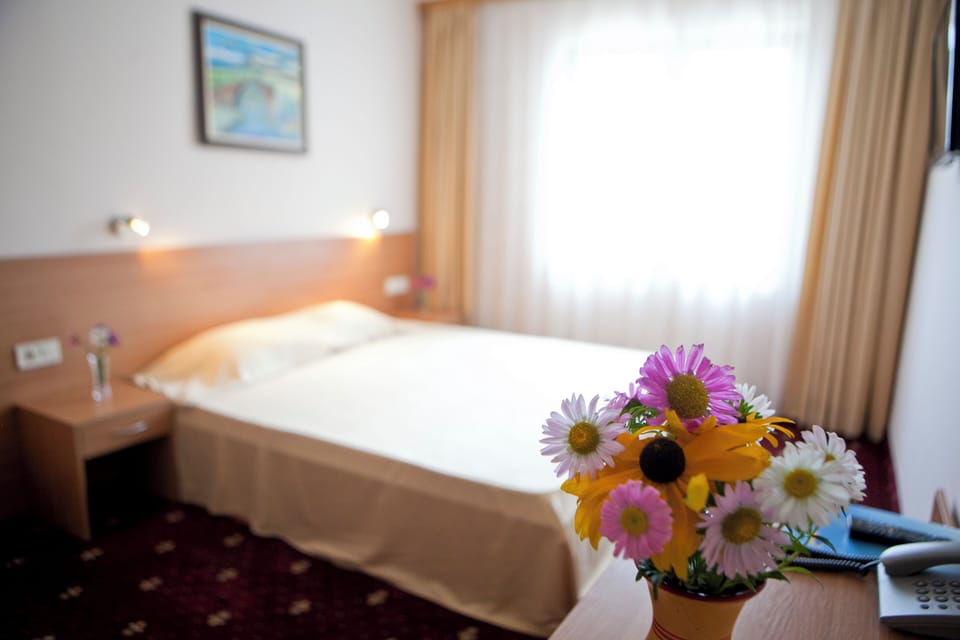 Basic Single Room | Desk, free WiFi