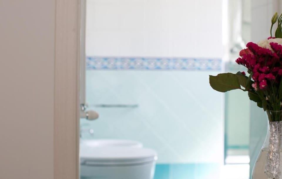 Rainfall showerhead, hair dryer, bidet, towels