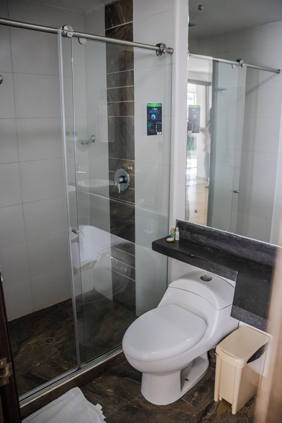 Standard Double Room | Bathroom | Towels, soap, shampoo, toilet paper