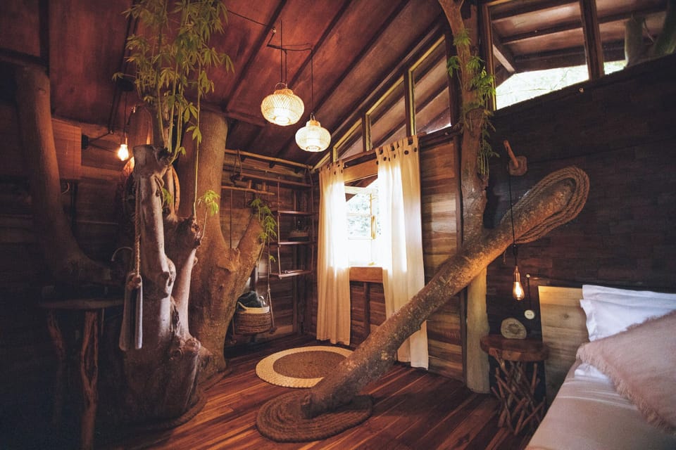 Premier Tree House | 1 bedroom, individually decorated, individually furnished, free WiFi