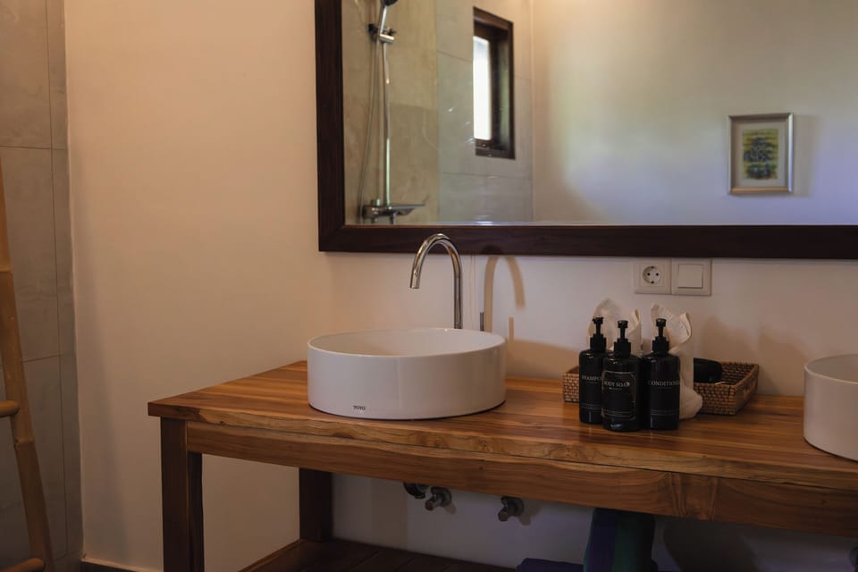 Superior Twin Room | Bathroom | Shower, rainfall showerhead, designer toiletries, hair dryer