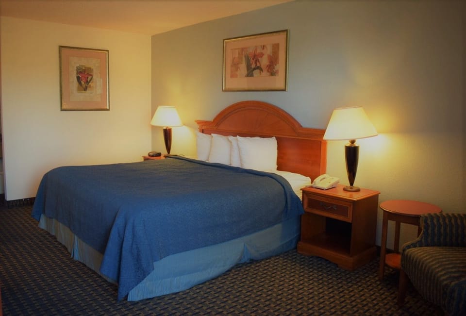 Standard Room, 1 King Bed, Non Smoking | In-room safe, desk, laptop workspace, blackout drapes