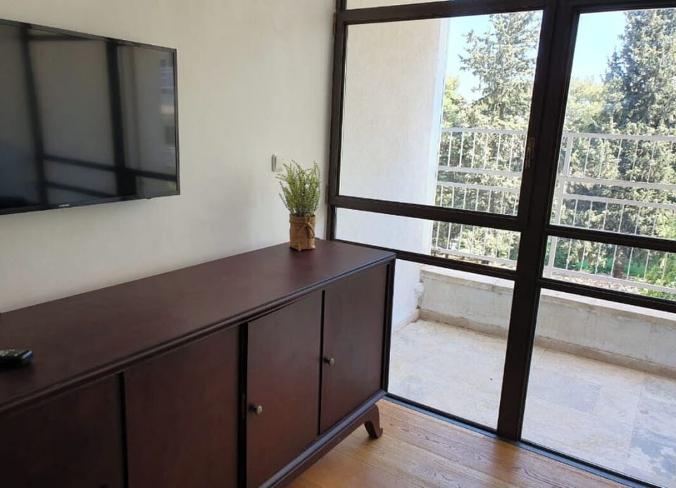 Apartment, 2 Bedrooms, Balcony, City View | Room amenity