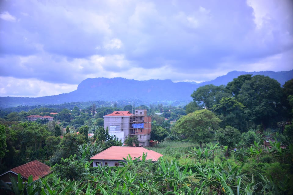 Mountain view