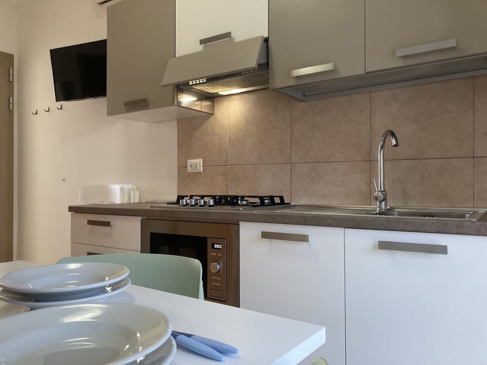Apartment, 2 Bedrooms, Balcony | Private kitchen