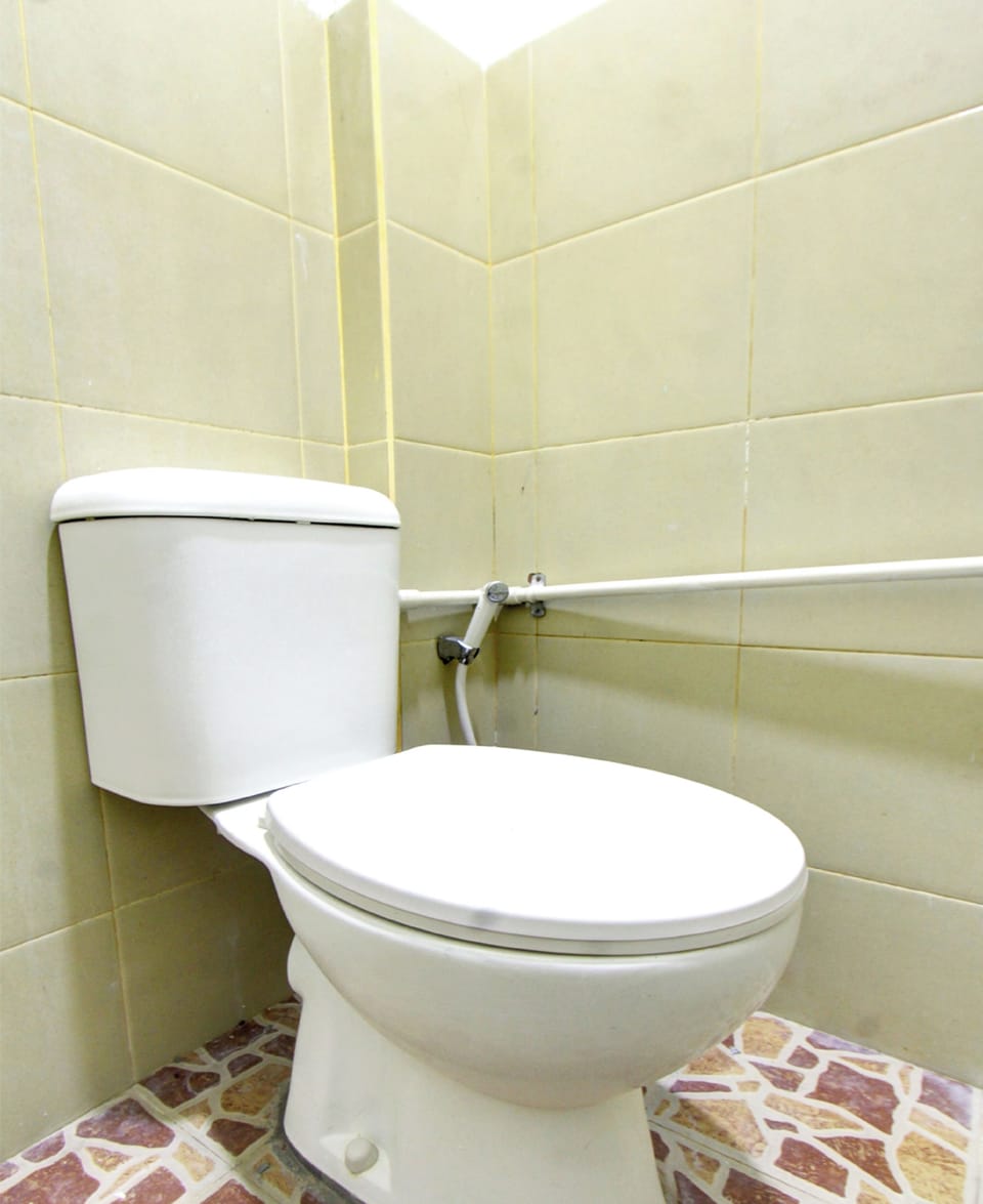Deluxe Double Room | Bathroom | Shower, towels, soap, shampoo
