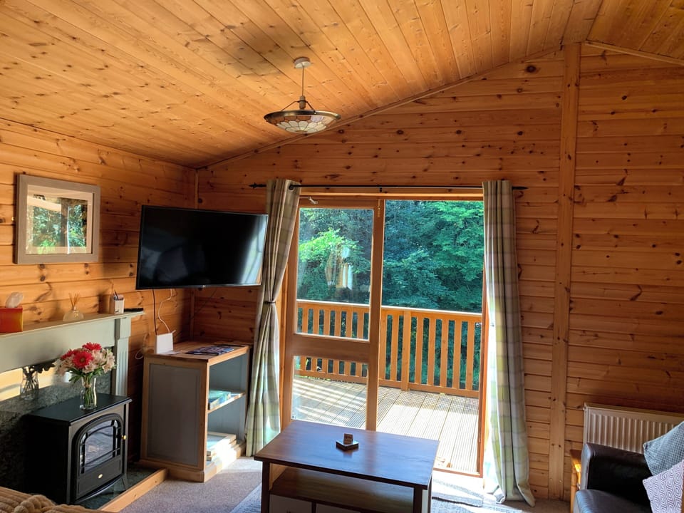 Cabin | Living area | Fireplace