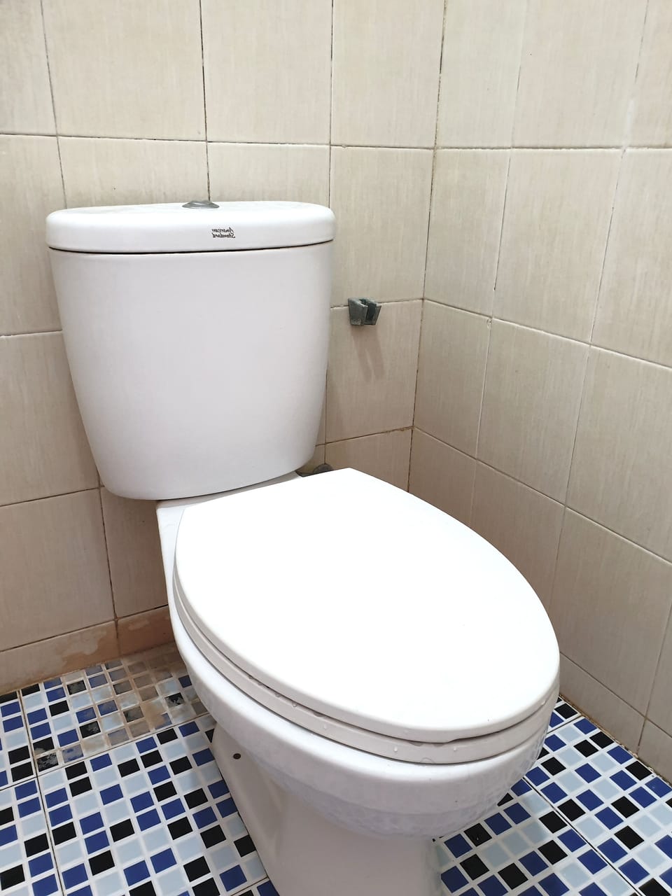 Triple Room | Bathroom | Shower, towels