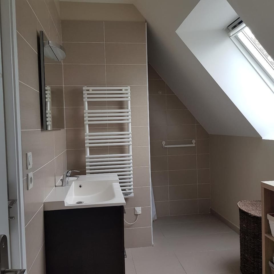 Family Room | Bathroom | Shower, hair dryer, towels, soap