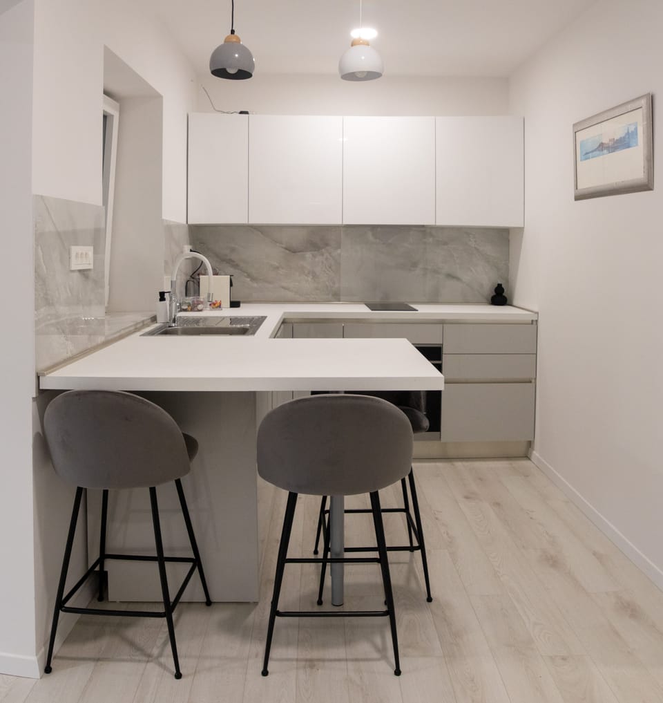 Deluxe Apartment | Private kitchen | Shared fridge, microwave, coffee/tea maker, electric kettle