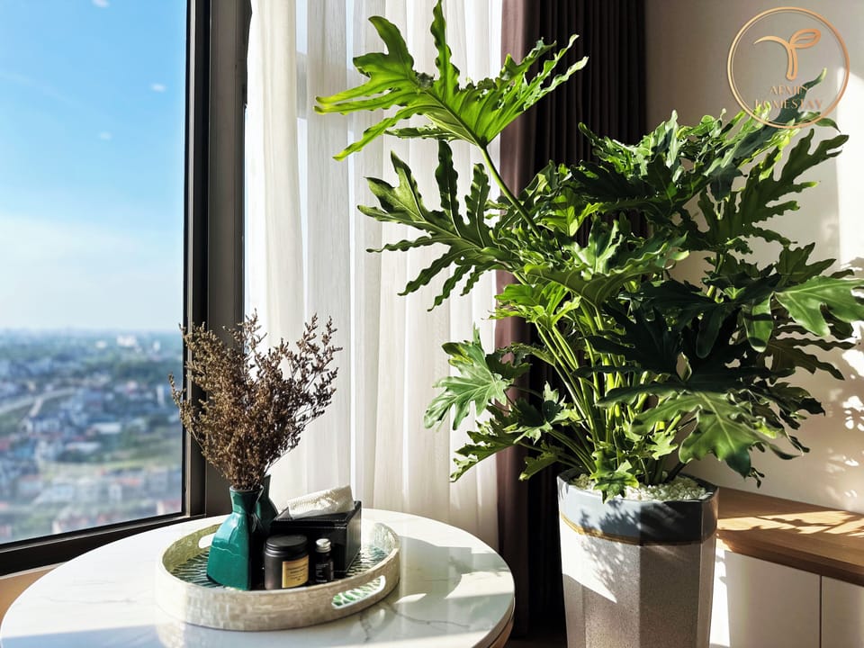 Panoramic Studio Suite | Living area | 45-inch Smart TV with digital channels, Netflix, streaming services