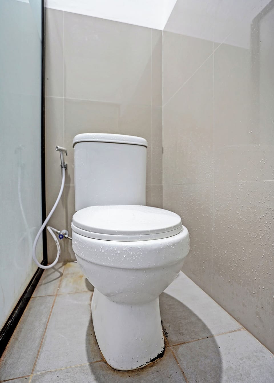 Shower, bidet, towels