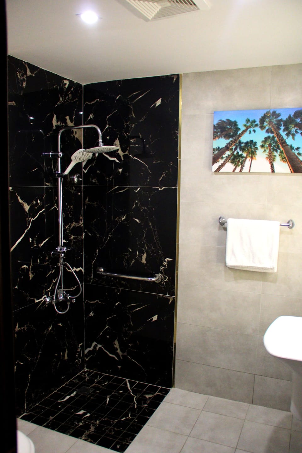 Shower, hair dryer, bidet, towels