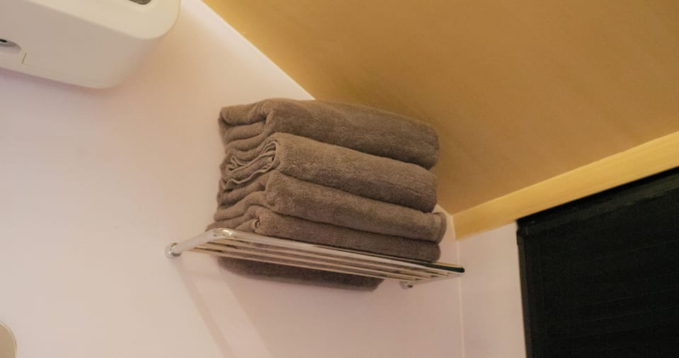 Executive Cabin | Bathroom | Hair dryer, towels, soap, shampoo