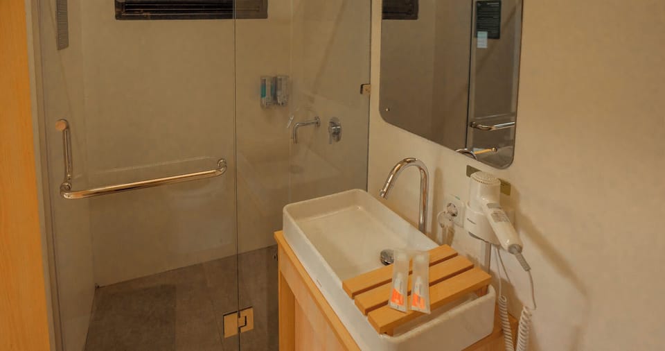 Executive Cabin | Bathroom | Hair dryer, towels, soap, shampoo