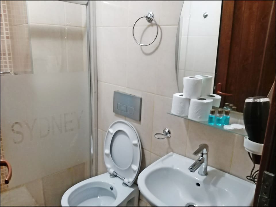 Shower, free toiletries, hair dryer, towels