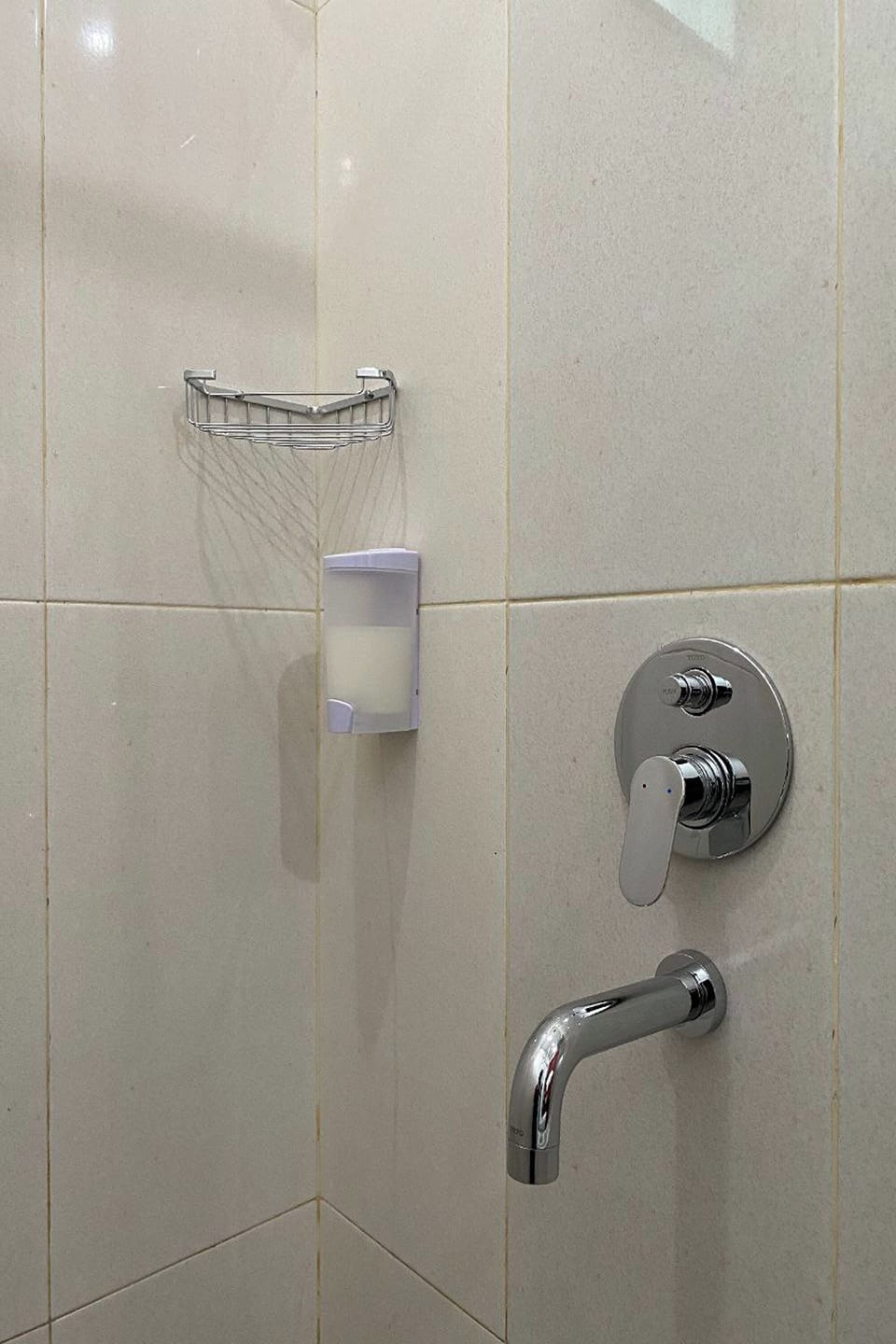 Shower, rainfall showerhead, towels