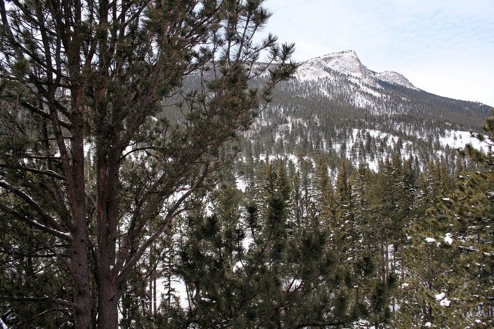 Apartment, 1 Bedroom | Mountain view