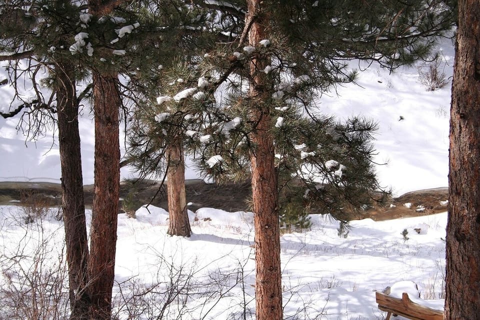 Condo, 1 Bedroom | Property grounds