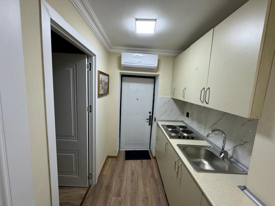 Apartment | Private kitchen | Microwave, electric kettle, freezer